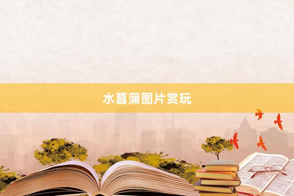 水菖蒲图片赏玩